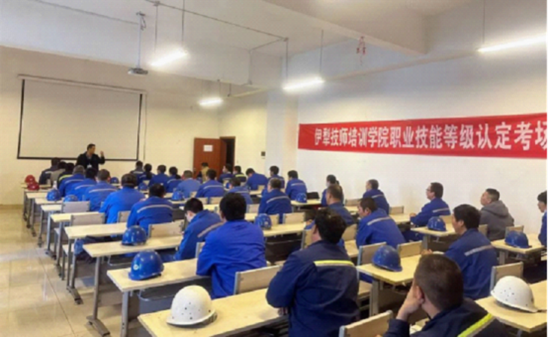 技能提升网：开启你的职业新篇章